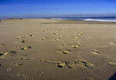 sch�ner Sandstrand